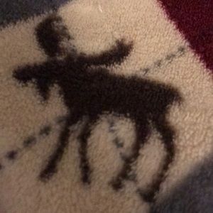 Meet your Posher, Whitney